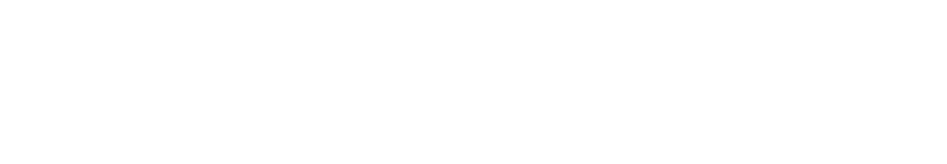 ΞNLIGHT logo
